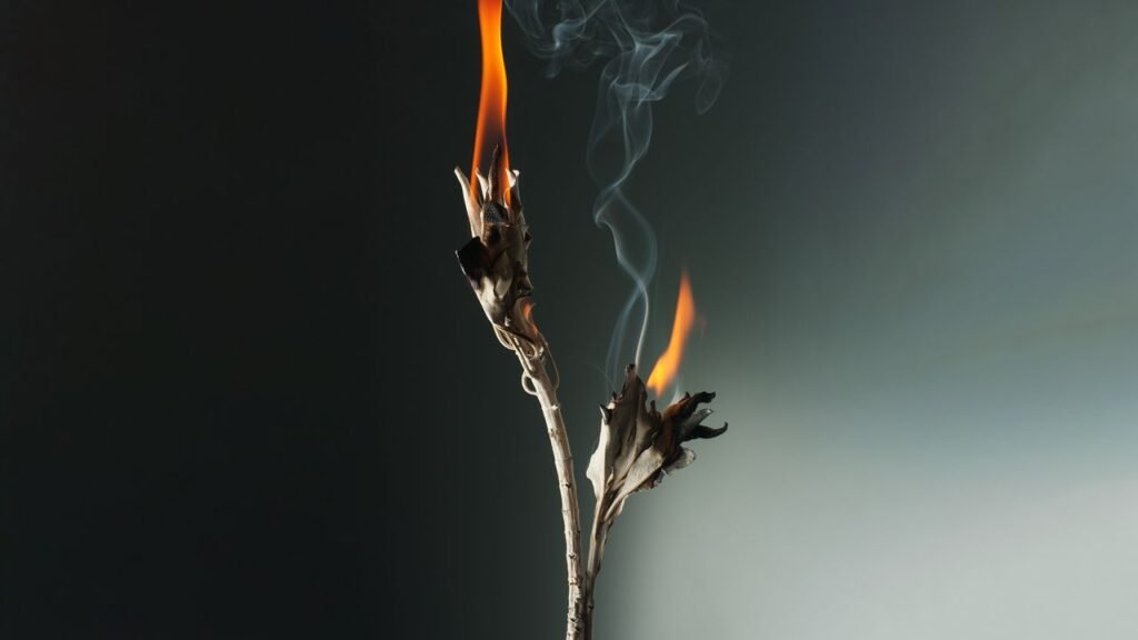 Fall’s Top Fragrance Trends Welcome the Witching Season Allure