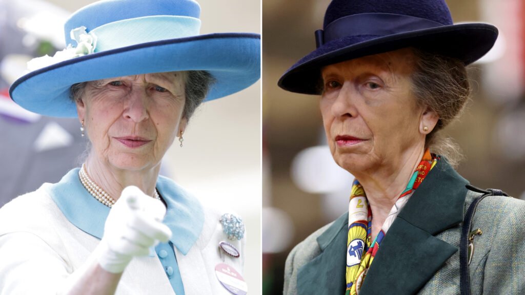 Fans Believe Royal Family Used AI to Post Princess Anne Lies Princess Anne wears a turquoise and white outfit and points at the camera, and in another photos she wears a green tweed jacket and a navy hat