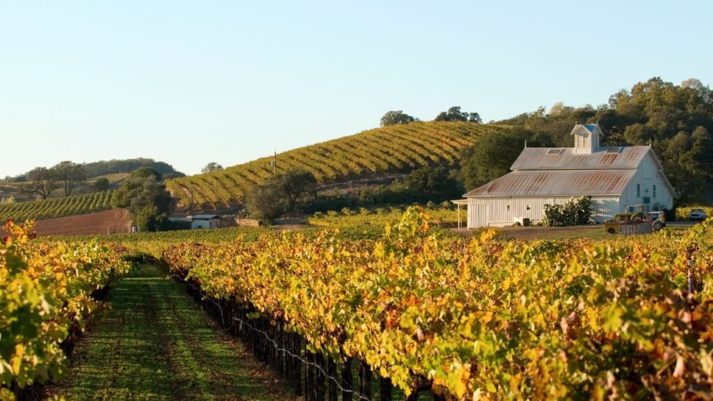 Napa Valley Guide: Where to Stay, Eat, and Sip in the Crown Jewel of California Wine Country Napa Valley Guide: Where to Stay, Eat, and Sip in the Crown Jewel of California Wine Country