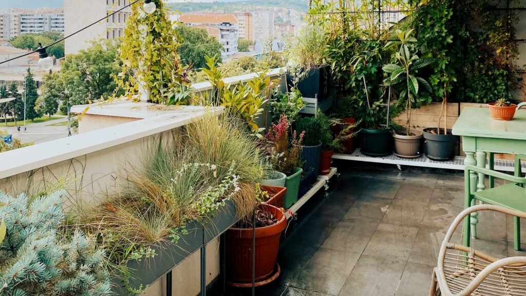 5 Small Garden Ideas for Making the Most of Your City Greenscape 5 Small Garden Ideas for Making the Most of Your City Greenscape