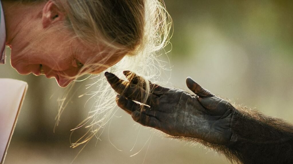 A celebration of Earth Day through the images of the best environmental photographers A celebration of Earth Day through the images of the best environmental photographers