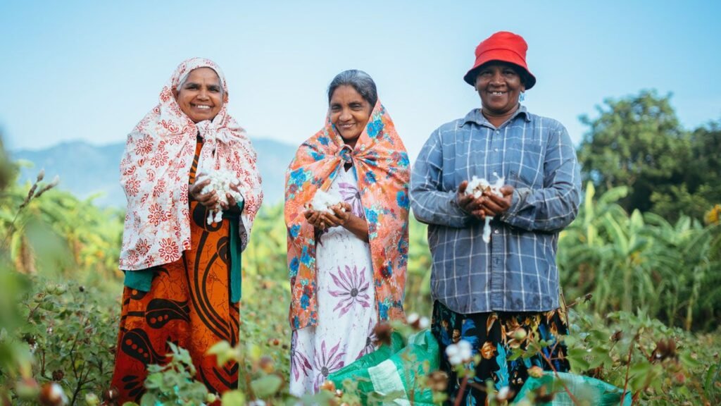 How to Revive Ancient Cotton