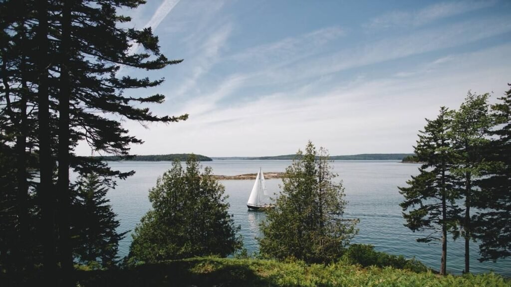 12 Best Airbnbs Near Acadia National Park for a Nature-Filled Vacation 12 Best Airbnbs Near Acadia National Park for a Nature-Filled Vacation