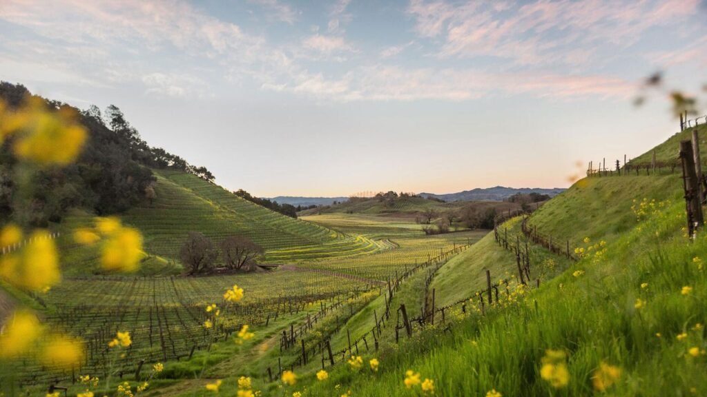 A Guide to Sonoma County, Napa’s Charming Neighbor