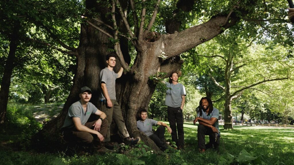 Climbing Trees With the Star Arborists of Central Park