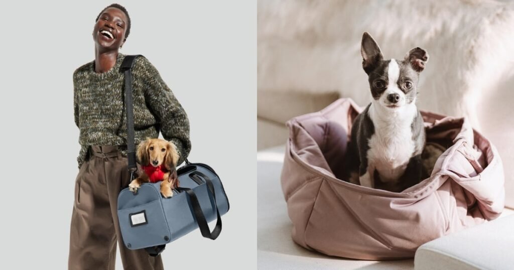 The Best Pet Travel Accessories