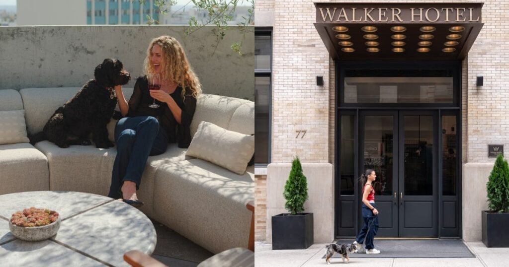 The Zoe Report’s 2026 Readers’ Choice: The Best Pet-Friendly Hotels The Zoe Report’s 2026 Readers’ Choice: The Best Pet-Friendly Hotels