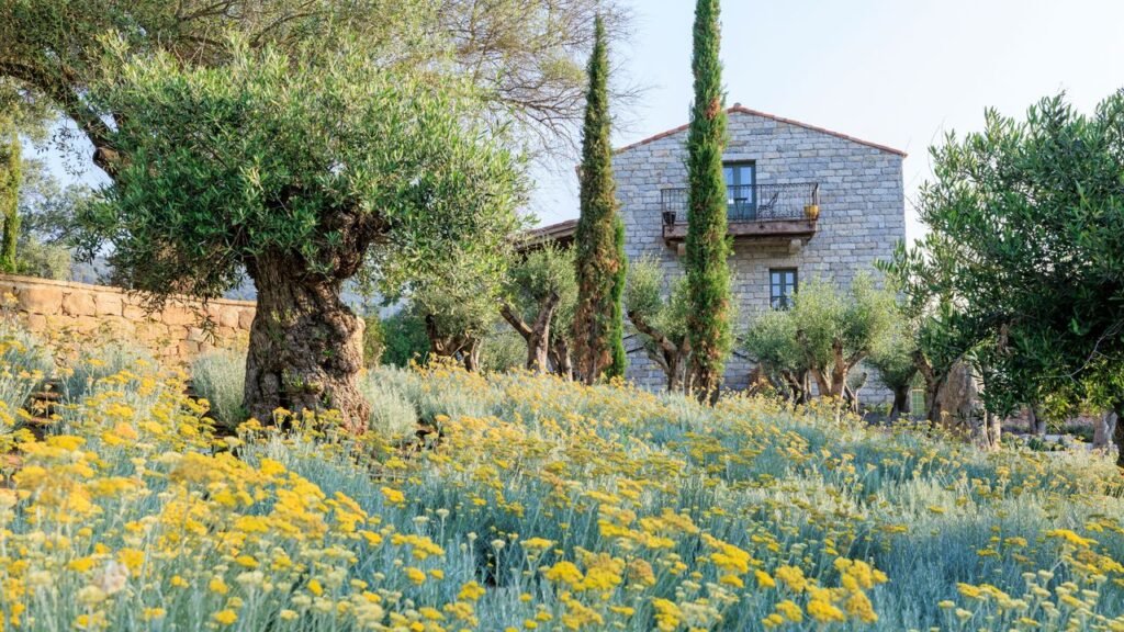 This Cult-Favorite Corsica Estate Has Opened a Magical New Farm Hotel This Cult-Favorite Corsica Estate Has Opened a Magical New Farm Hotel