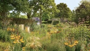 What Is a Chaos Garden? What Is a Chaos Garden?