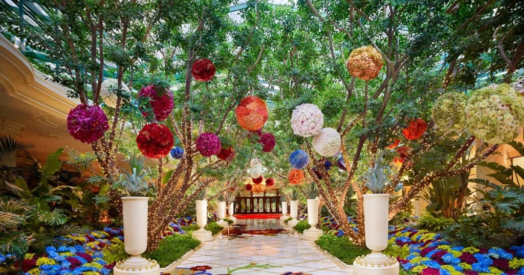 Where To Stay, Eat, Party & Unwind Where To Stay, Eat, Party & Unwind