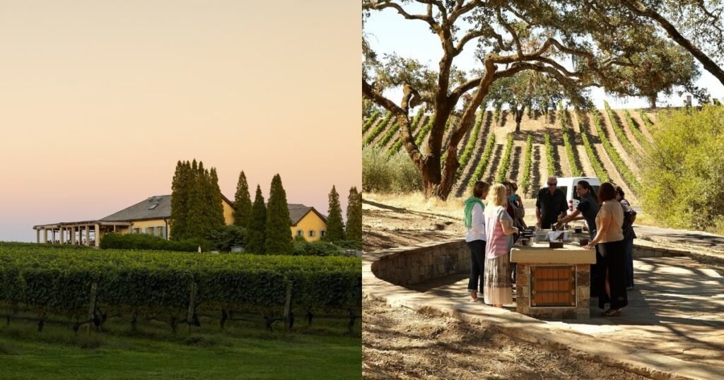 Best Winery Tours In The US