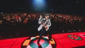 How Does Harry Styles’s Madison Square Garden Show Grow? How Does Harry Styles’s Madison Square Garden Show Grow?