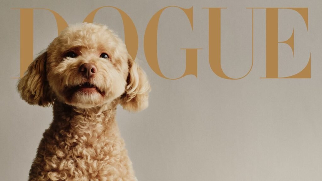 Millie Bobby Brown’s Miniature Poodle, Winnie, Has Been to the Upside Down Millie Bobby Brown’s Miniature Poodle, Winnie, Has Been to the Upside Down