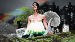 Petrichor Fragrances Were Made for the Dog Days of Summer Petrichor Fragrances Were Made for the Dog Days of Summer