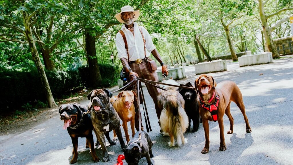 The Leaders of the Pack: Meet 6 New York Dog Walkers The Leaders of the Pack: Meet 6 New York Dog Walkers