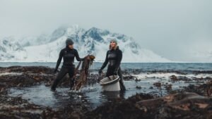 Meet the Women Leading Norway’s Seaweed Revolution