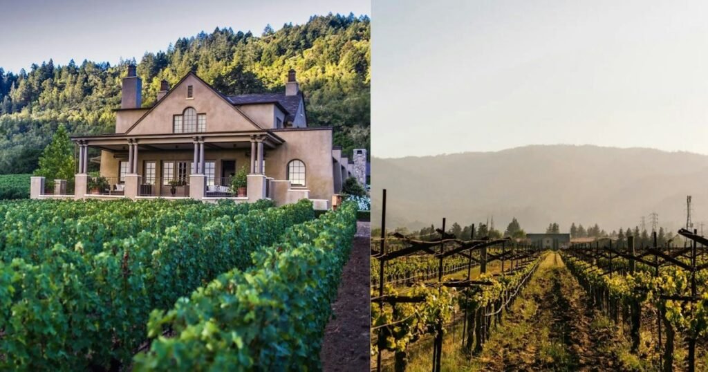 The Zoe Report’s Readers’ Choice Awards: Best Woman-Owned Wineries