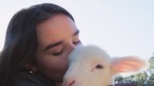 Wondering About Wool? These 5 Films Explain Fashion’s Relationship With the Fiber