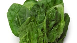 11 Foods To Increase Your Ferritin Levels