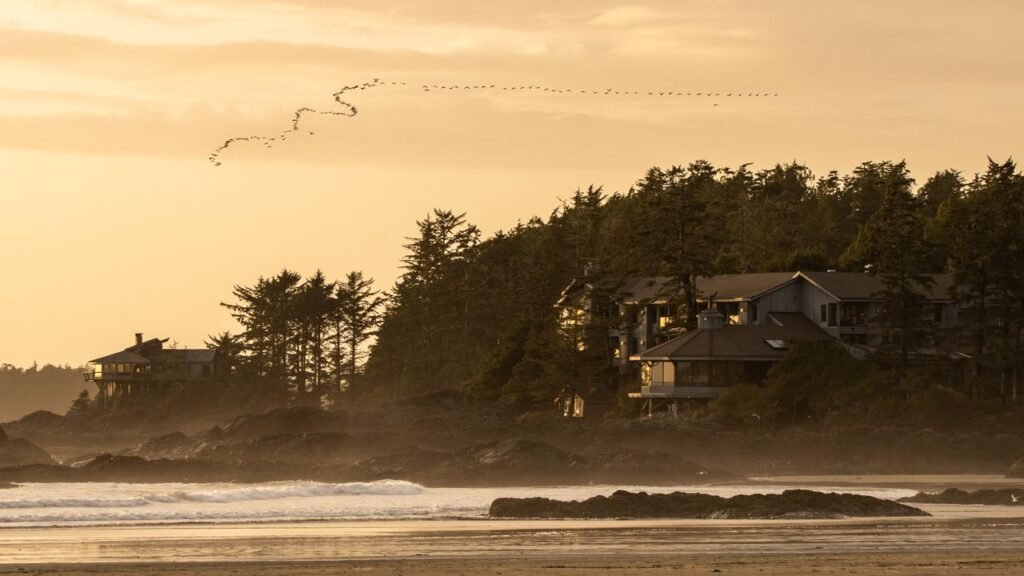 7 of the Best Birdwatching Travel Destinations Around the World