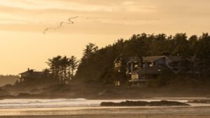 7 of the Best Birdwatching Travel Destinations Around the World 7 of the Best Birdwatching Travel Destinations Around the World